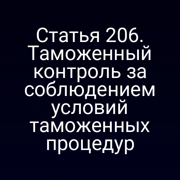 Статья 206. Таможенный контроль за соблюдением условий таможенных процедур