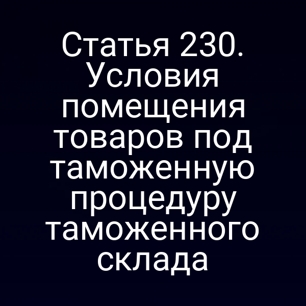 Статья 230. Условия помещения товаров под таможенную процедуру таможенного склада