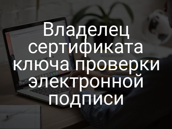 Владелец сертификата ключа проверки электронной подписи