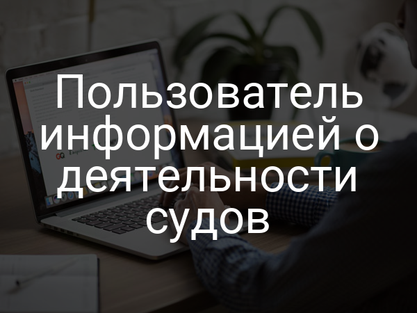 Пользователь информацией о деятельности судов