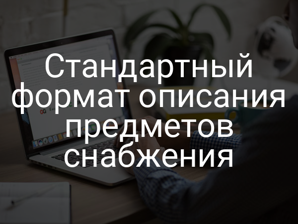 Стандартный формат описания предметов снабжения