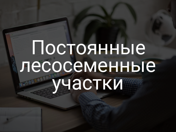 Постоянные лесосеменные участки