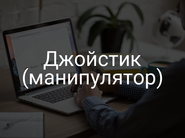 Джойстик (манипулятор)
