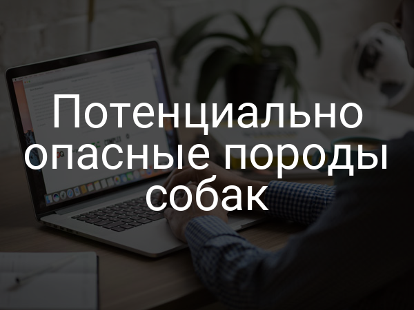 Потенциально опасные породы собак