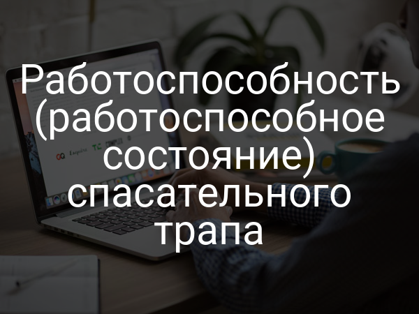 Работоспособность (работоспособное состояние) спасательного трапа