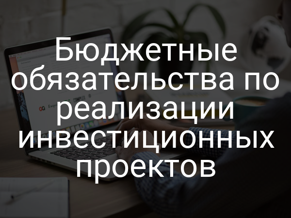 Бюджетные обязательства по реализации инвестиционных проектов