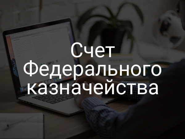Счет Федерального казначейства