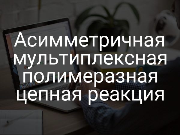 Асимметричная мультиплексная полимеразная цепная реакция