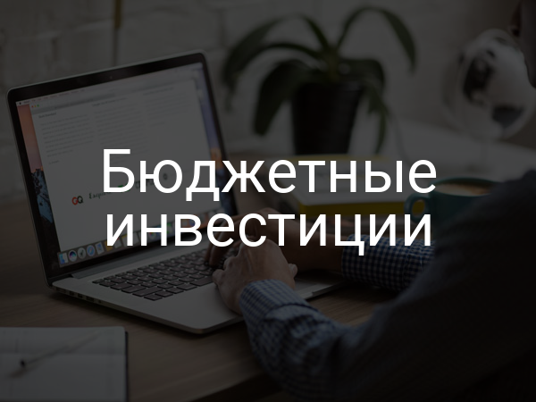 Бюджетные инвестиции