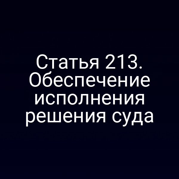 Статья 213. Обеспечение исполнения решения суда