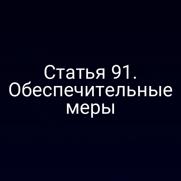 Статья 91. Обеспечительные меры