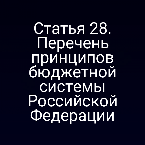 Статья 28. Перечень принципов бюджетной системы Российской Федерации