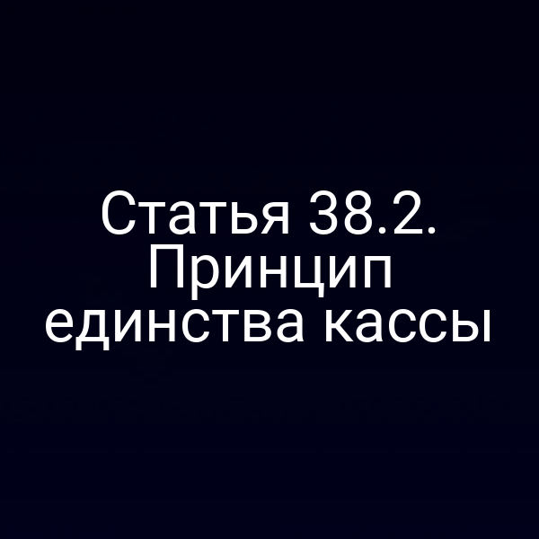Статья 38.2. Принцип единства кассы