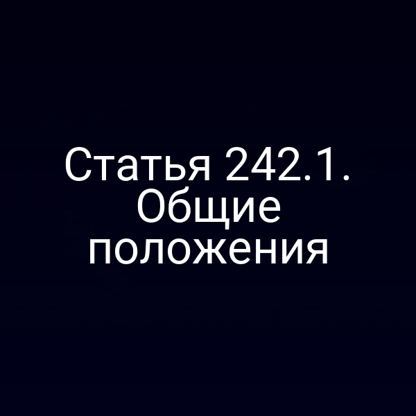 Статья 242.1. Общие положения