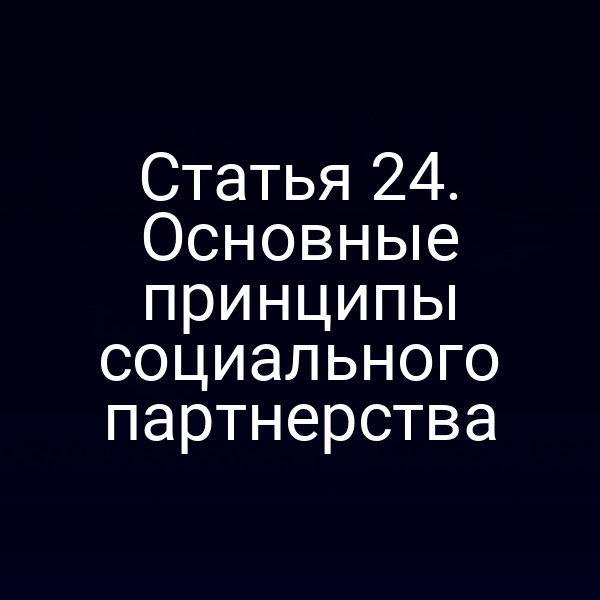 Статья 24. Основные принципы социального партнерства