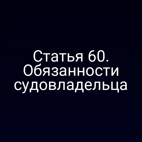 Статья 60. Обязанности судовладельца