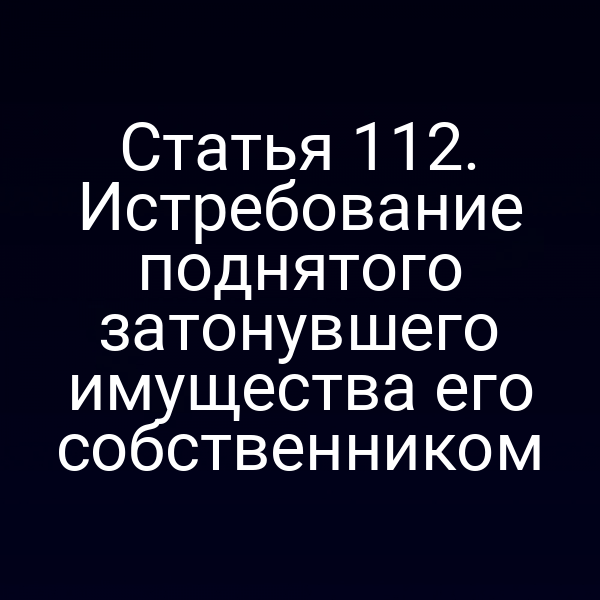 Статья 112. Истребование поднятого затонувшего имущества его собственником
