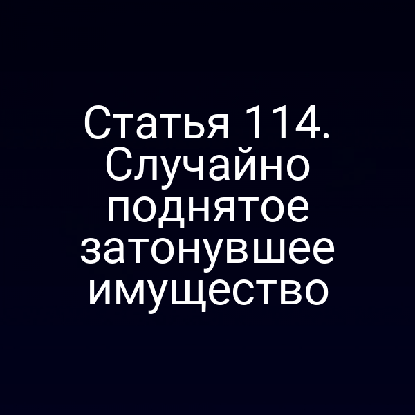 Статья 114. Случайно поднятое затонувшее имущество
