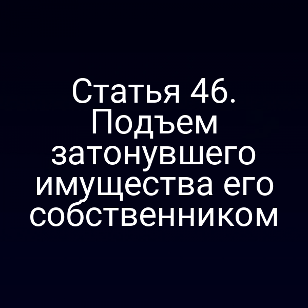 Статья 46.  Подъем затонувшего имущества его собственником