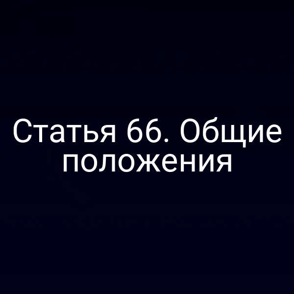 Статья 66.  Общие положения