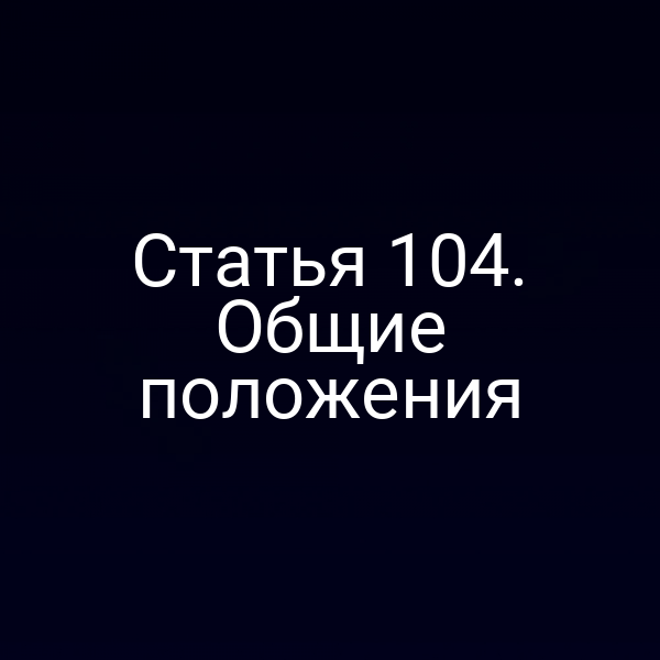 Статья 104.  Общие положения