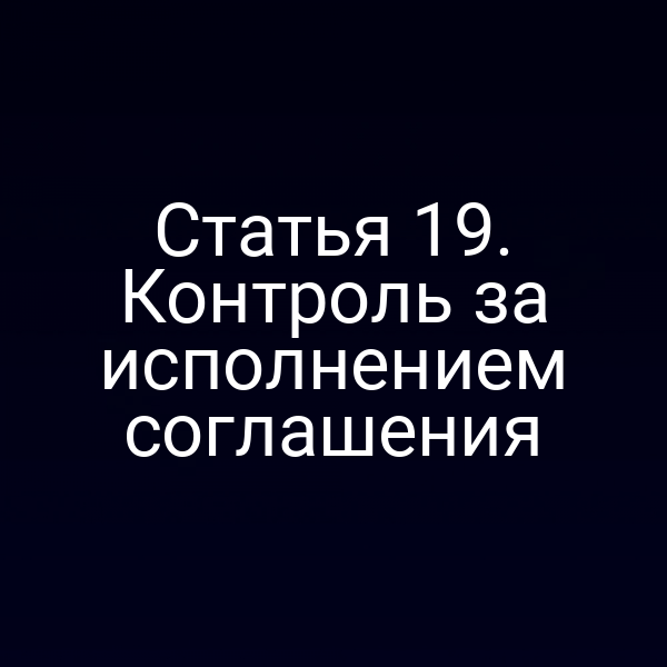 Статья 19. Контроль за исполнением соглашения