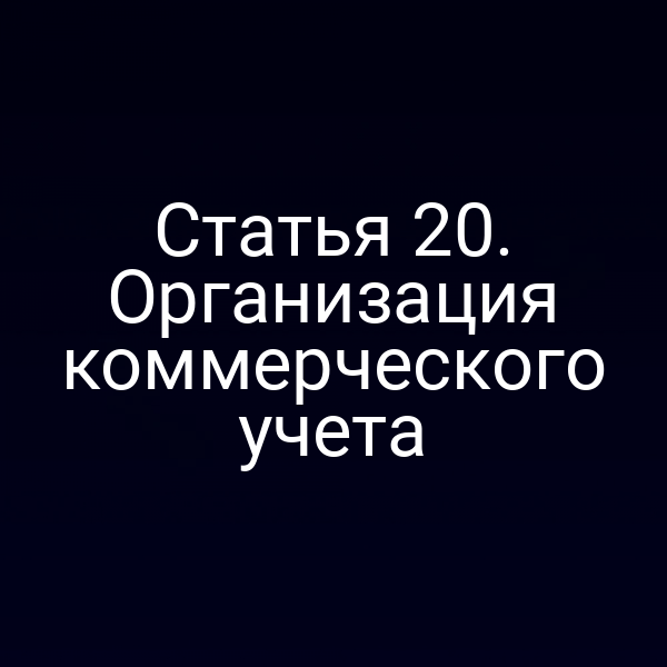 Статья 20. Организация коммерческого учета