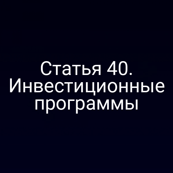 Статья 40. Инвестиционные программы