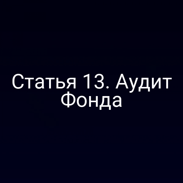 Статья 13. Аудит Фонда