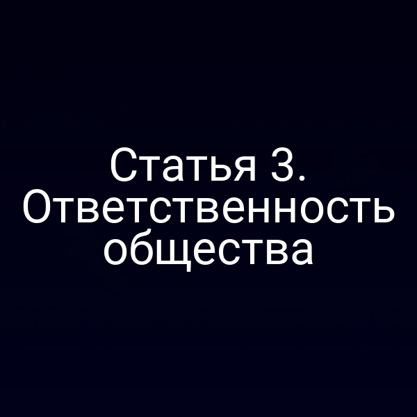 Статья 3. Ответственность общества