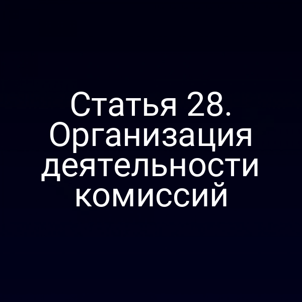 Статья 28. Организация деятельности комиссий