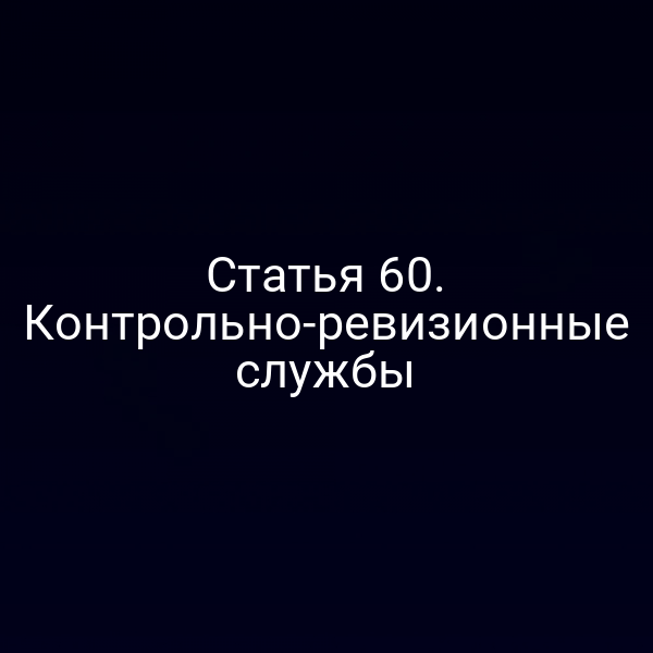 Статья 60. Контрольно-ревизионные службы