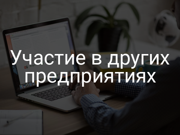 Участие в других предприятиях