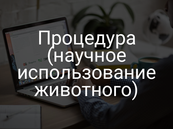 Процедура (научное использование животного)
