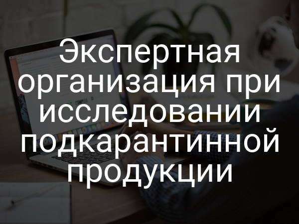 Экспертная организация при исследовании подкарантинной продукции