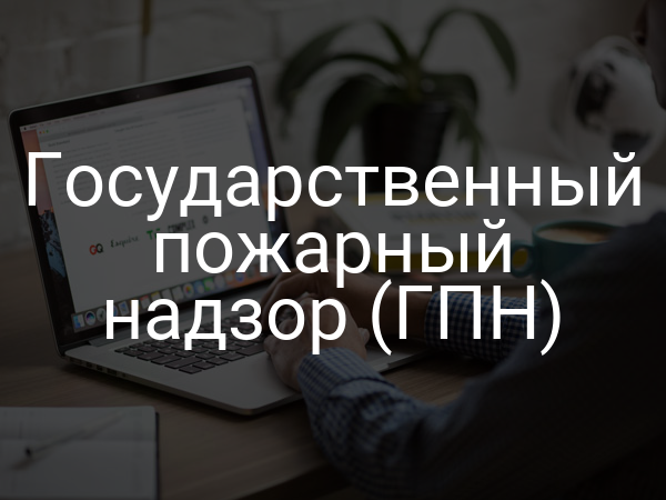 Государственный пожарный надзор (ГПН)