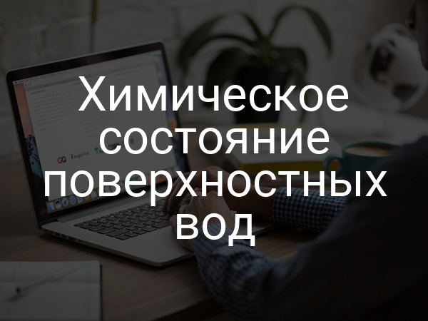 Химическое состояние поверхностных вод