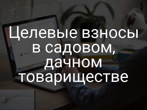 Целевые взносы в садовом, дачном товариществе