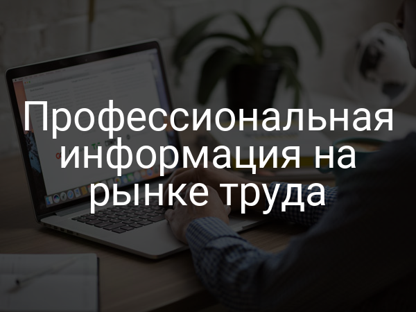 Профессиональная информация на рынке труда