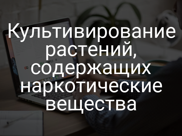 Культивирование растений, содержащих наркотические вещества