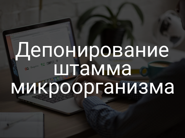 Депонирование штамма микроорганизма