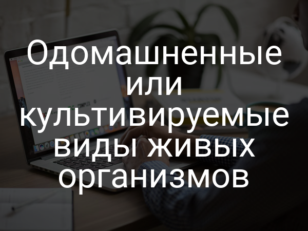 Одомашненные или культивируемые виды живых организмов