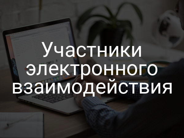 Участники электронного взаимодействия