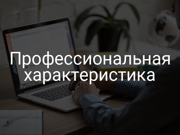 Профессиональная характеристика