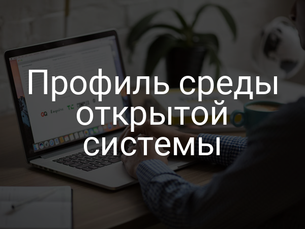 Профиль среды открытой системы