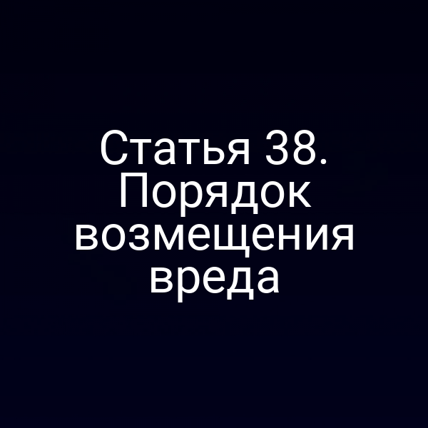 Статья 38. Порядок возмещения вреда