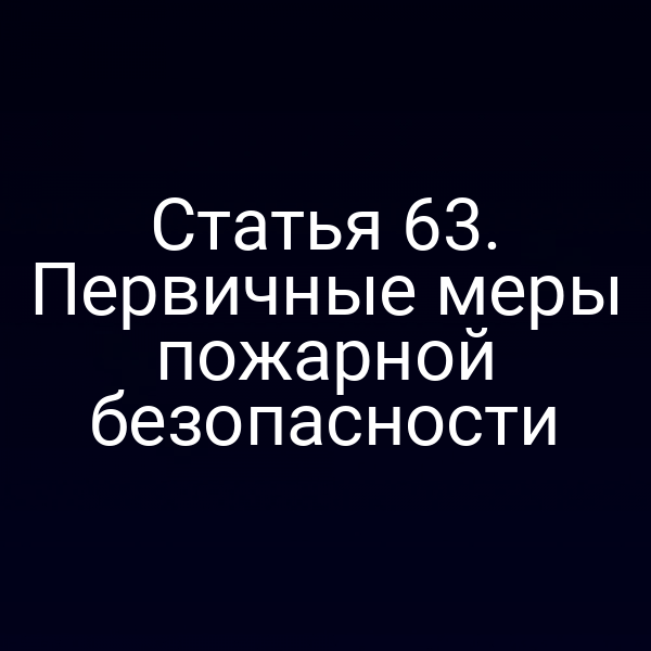 Статья 63. Первичные меры пожарной безопасности