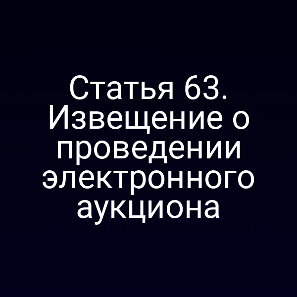 Статья 63. Извещение о проведении электронного аукциона