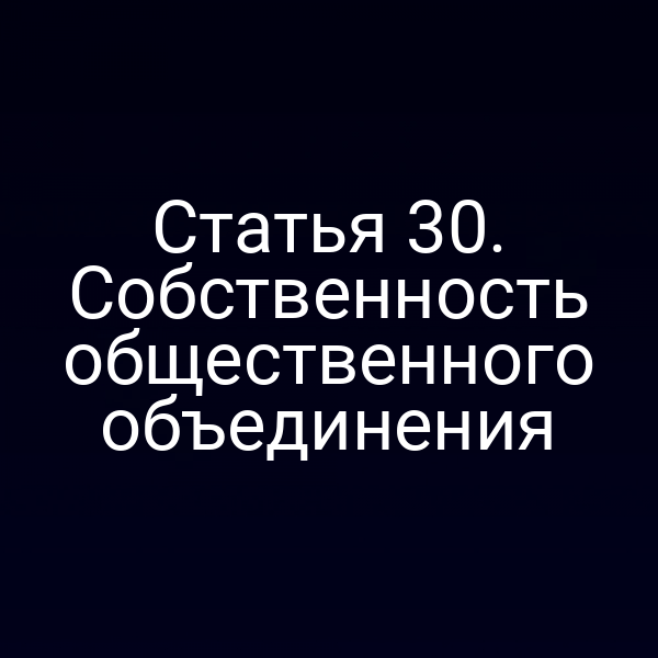Статья 30. Собственность общественного объединения
