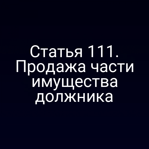 Статья 111. Продажа части имущества должника